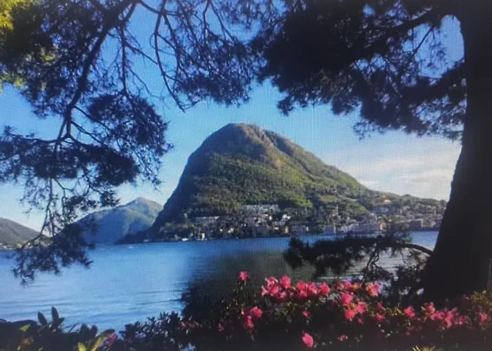 Casa Vista Cadro Executive *